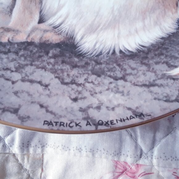 Vintage Royal Stafford Bone China Cat Plate - Picture 4 of 6